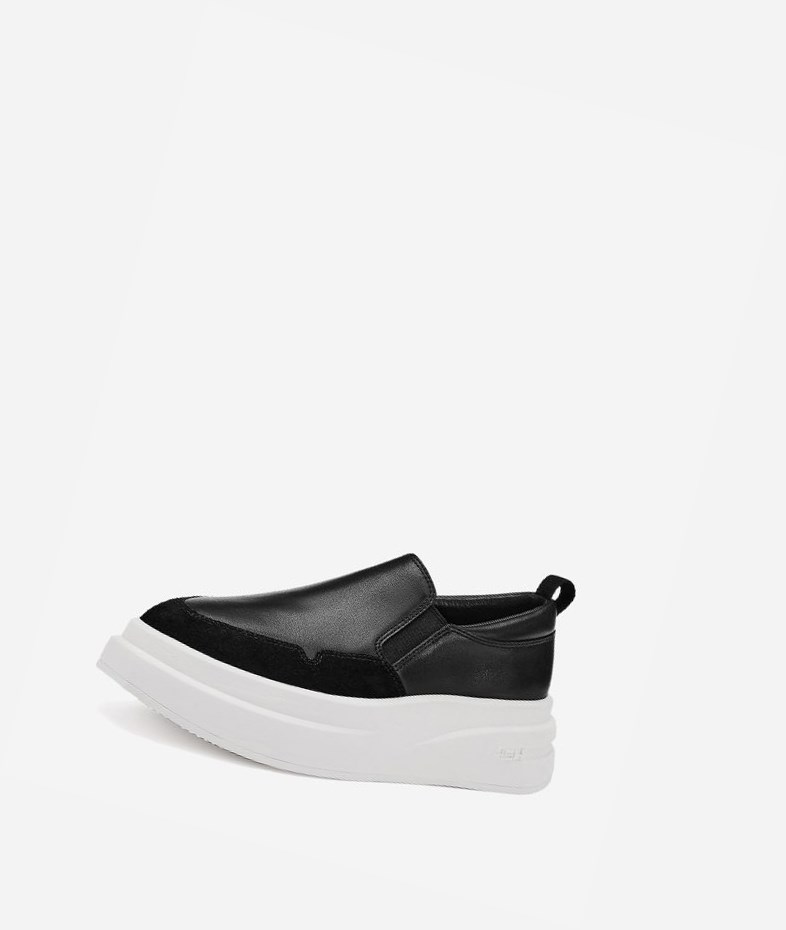 Low-Top Sneakers ASH Intox Femme Noir | UKV-70847648