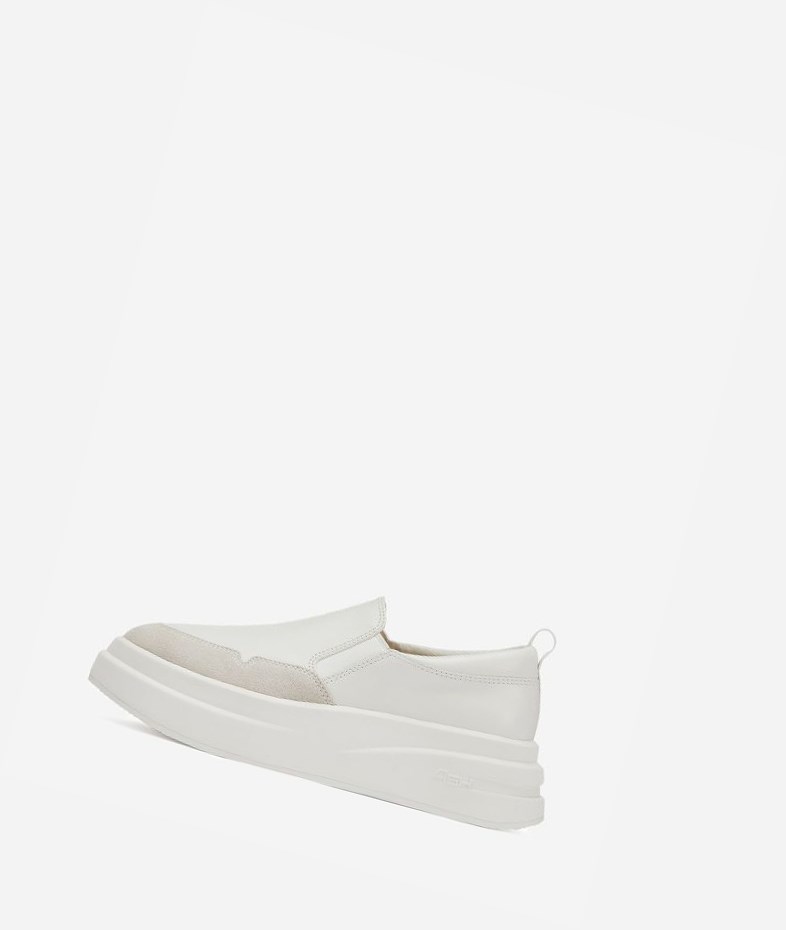 Low-Top Sneakers ASH Intox Femme Blanche Blanche | DDD-14529042