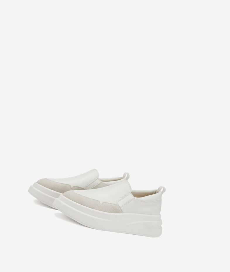 Low-Top Sneakers ASH Intox Femme Blanche Blanche | DDD-14529042