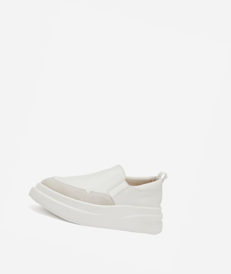 Low-Top Sneakers ASH Intox Femme Blanche Blanche | DDD-14529042