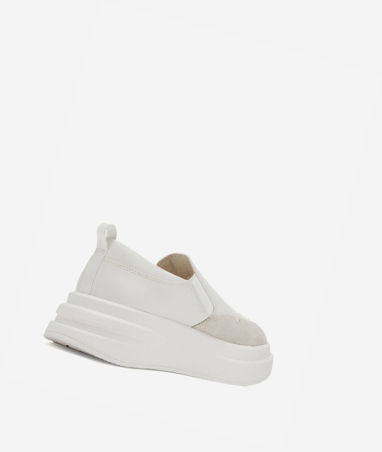 Low-Top Sneakers ASH Intox Femme Blanche Blanche | DDD-14529042