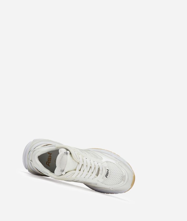 Low-Top Sneakers ASH Race Femme Blanche | YRD-85251348