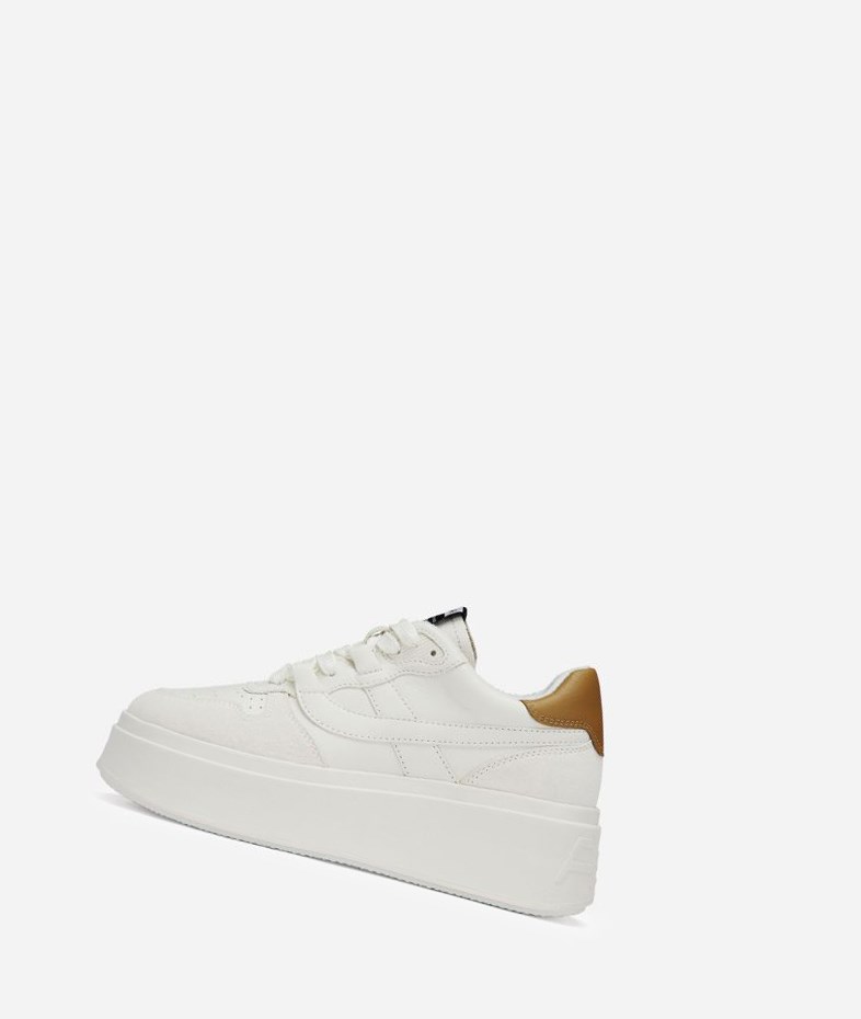 Low-Top Sneakers ASH Match Femme Blanche Marron | UMV-42718924