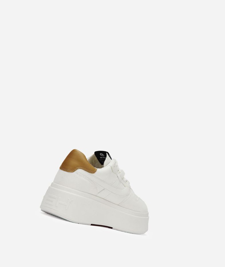 Low-Top Sneakers ASH Match Femme Blanche Marron | UMV-42718924