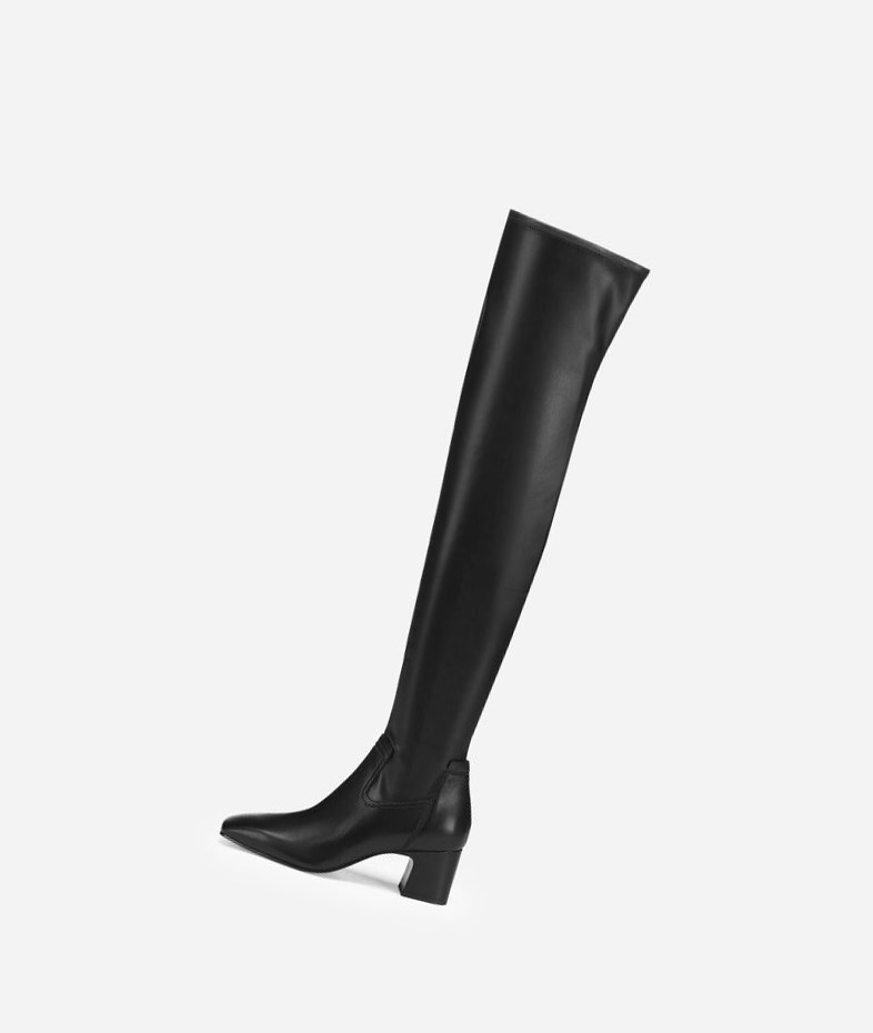 Long Boots ASH Clara Femme Noir | RIK-09064841