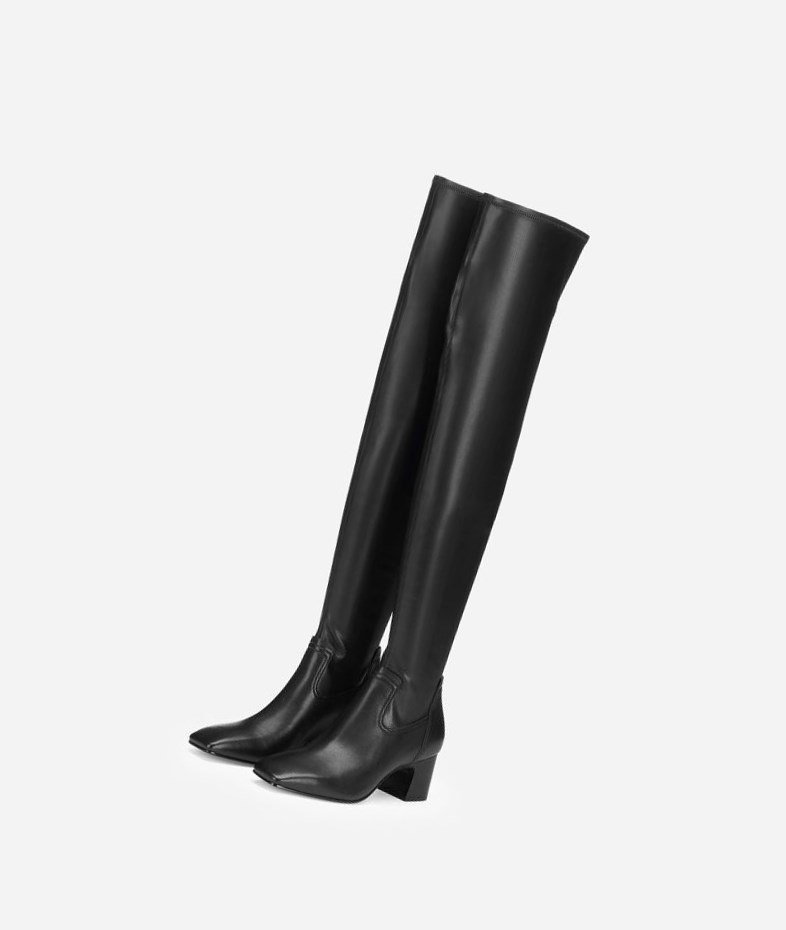 Long Boots ASH Clara Femme Noir | RIK-09064841