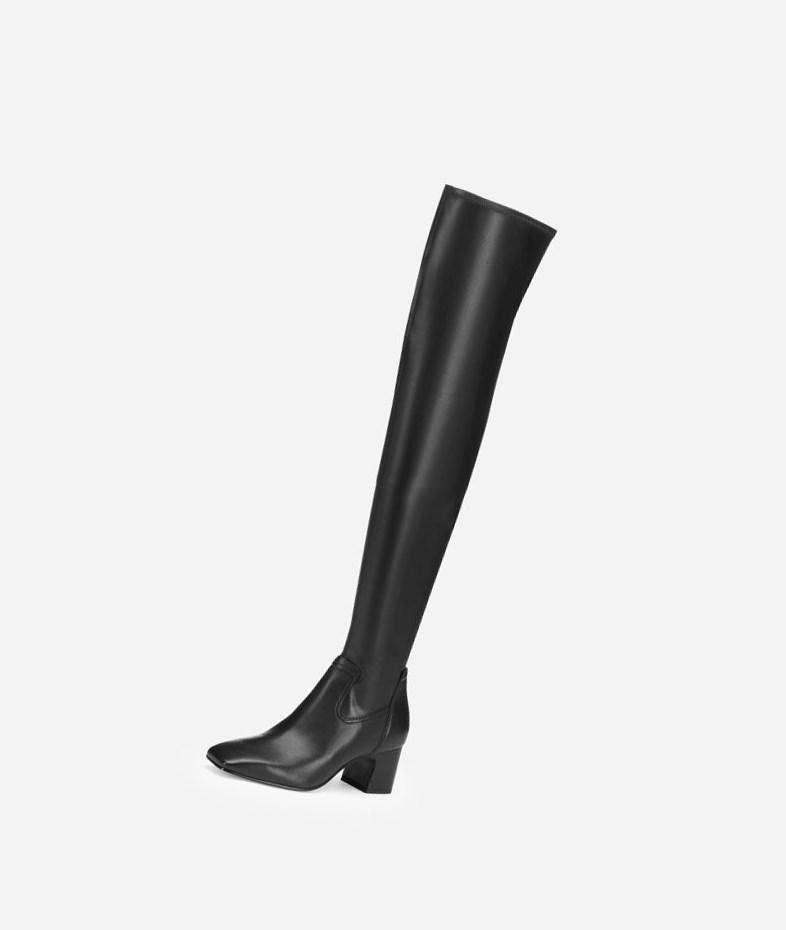 Long Boots ASH Clara Femme Noir | RIK-09064841