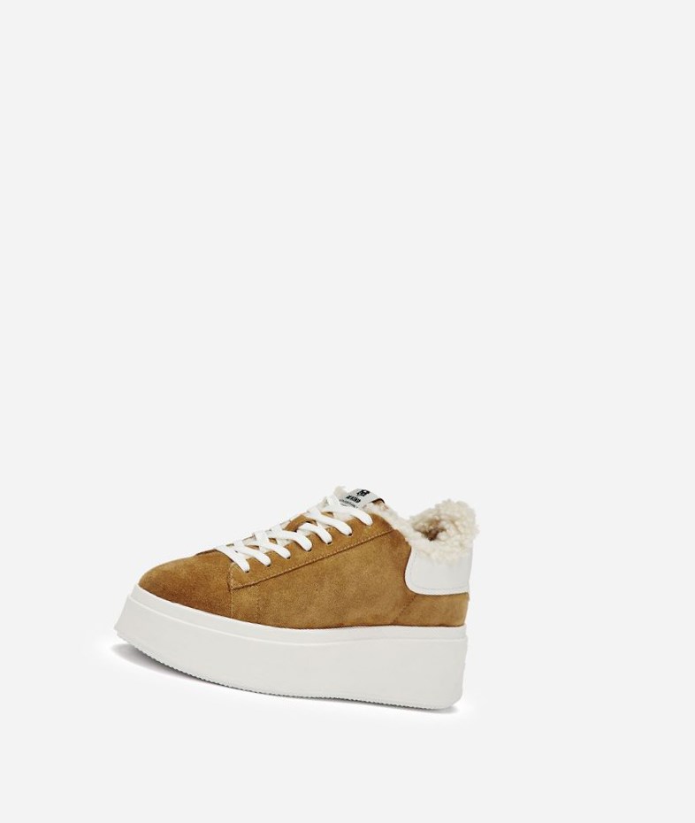 Low-Top Sneakers ASH Moby Be Kind Fur Femme Marron Blanche | ZMT-60647390