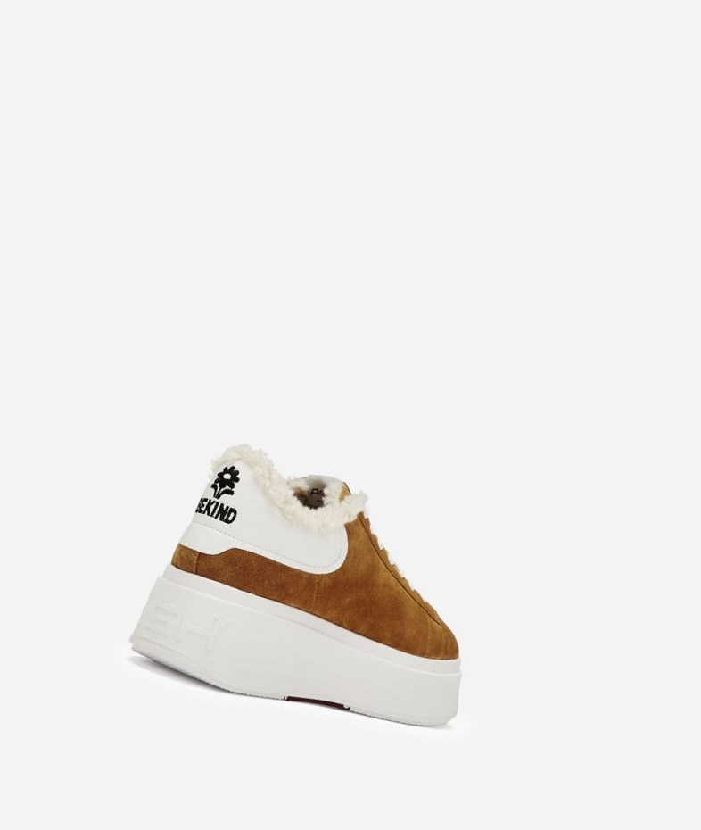 Low-Top Sneakers ASH Moby Be Kind Fur Femme Marron Blanche | ZMT-60647390