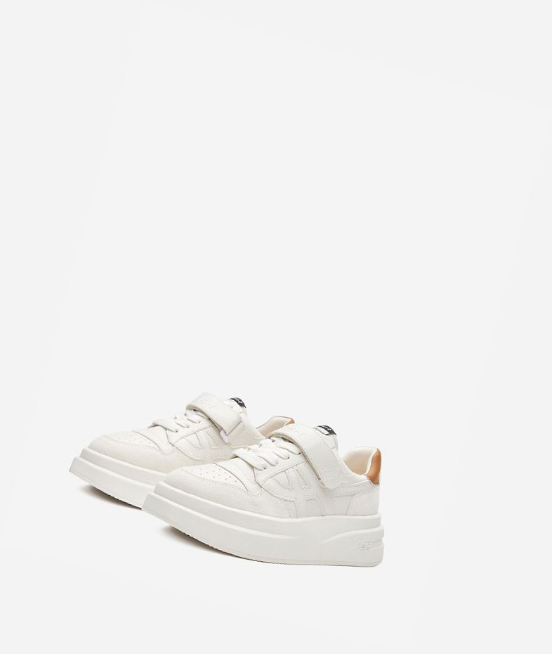 Low-Top Sneakers ASH Indy Femme Blanche Marron | OQV-14206159