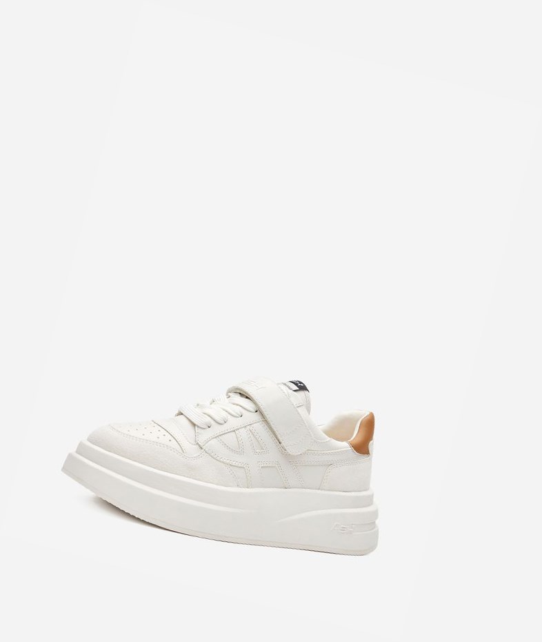 Low-Top Sneakers ASH Indy Femme Blanche Marron | OQV-14206159