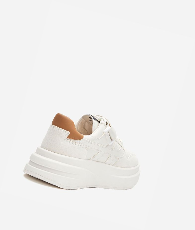 Low-Top Sneakers ASH Indy Femme Blanche Marron | OQV-14206159