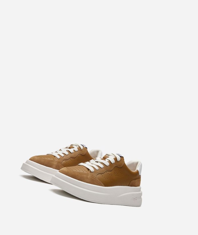 Low-Top Sneakers ASH Impuls Femme Marron Blanche | OIU-79232601