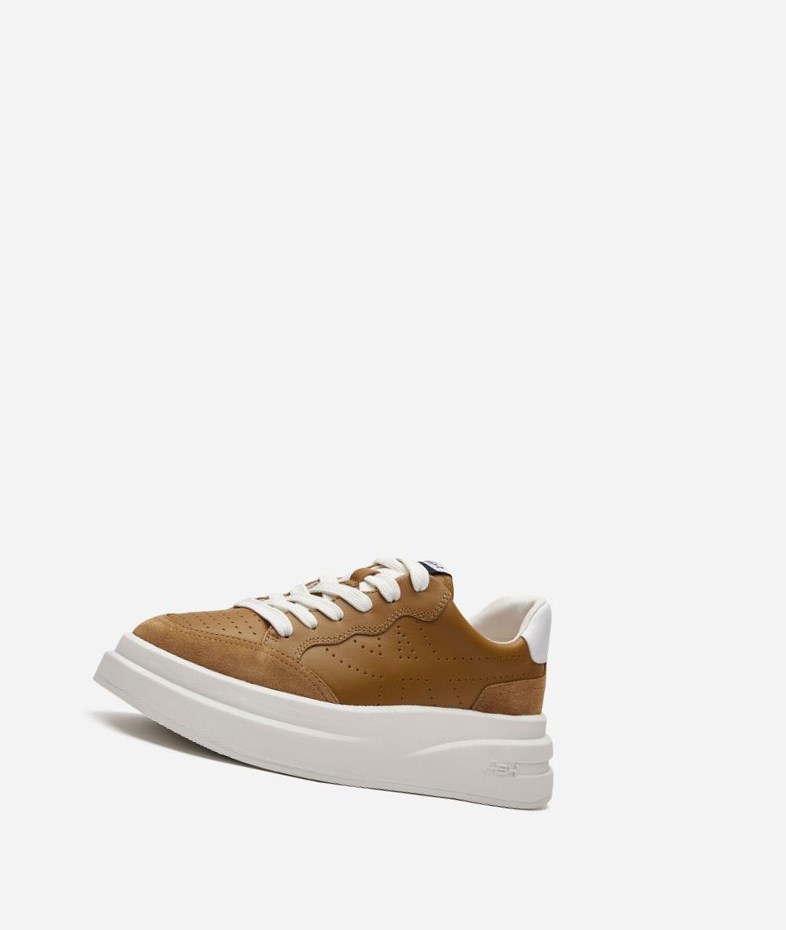 Low-Top Sneakers ASH Impuls Femme Marron Blanche | OIU-79232601