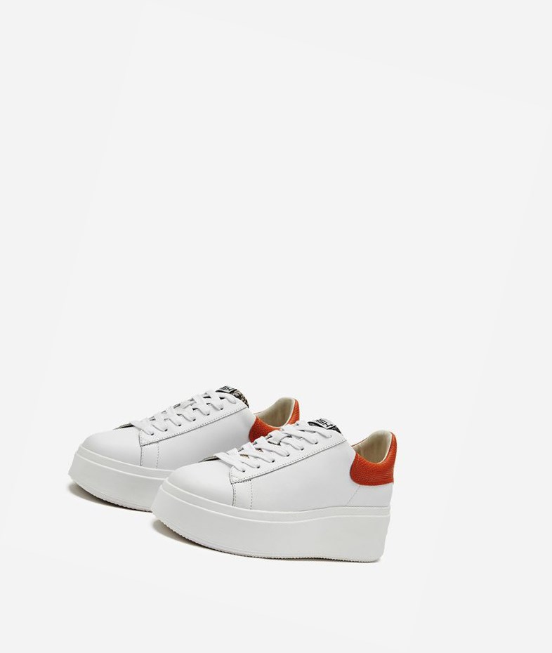 Low-Top Sneakers ASH Moby Femme Blanche | IAB-50032241