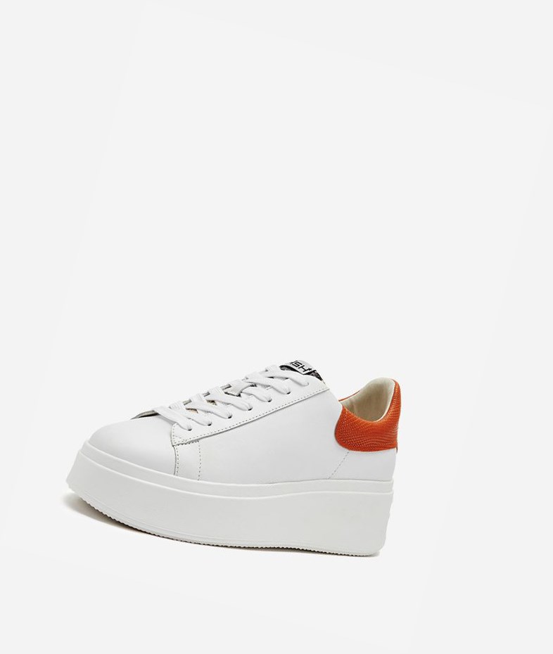 Low-Top Sneakers ASH Moby Femme Blanche | IAB-50032241