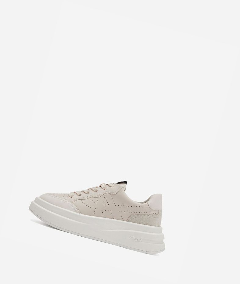 Low-Top Sneakers ASH Impuls Femme Shell | XVL-32614177