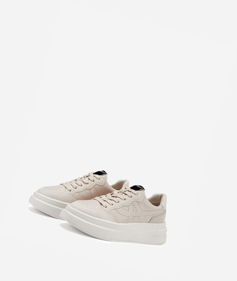 Low-Top Sneakers ASH Impuls Femme Shell | XVL-32614177