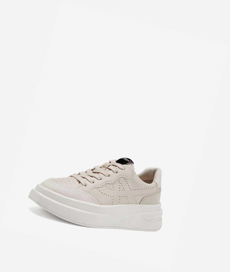 Low-Top Sneakers ASH Impuls Femme Shell | XVL-32614177