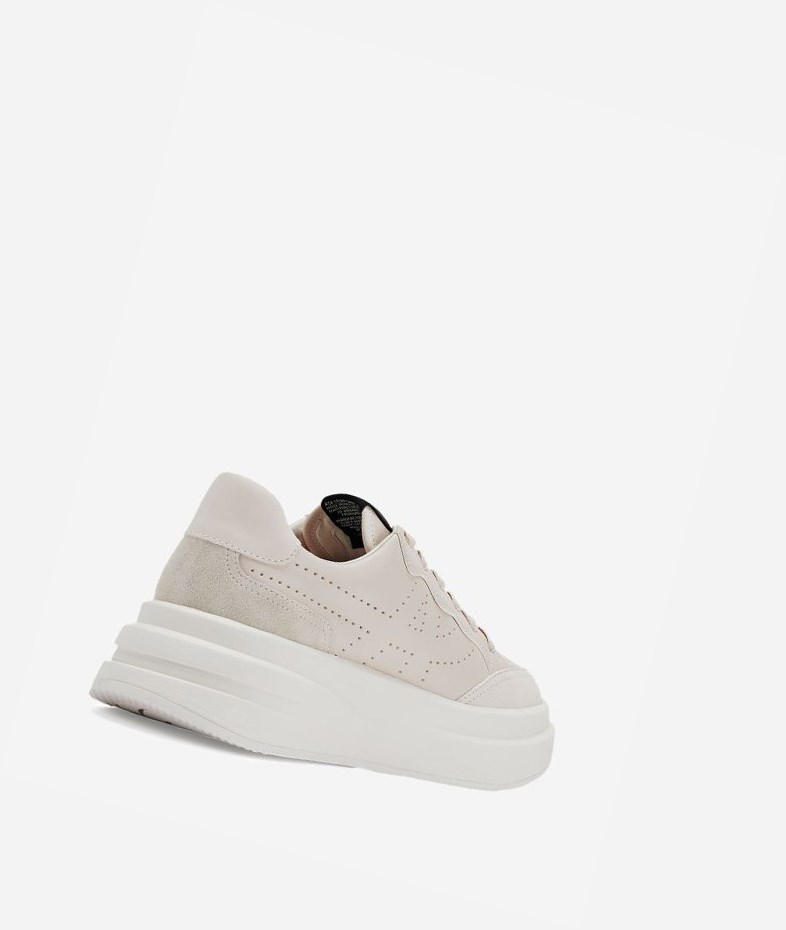 Low-Top Sneakers ASH Impuls Femme Shell | XVL-32614177