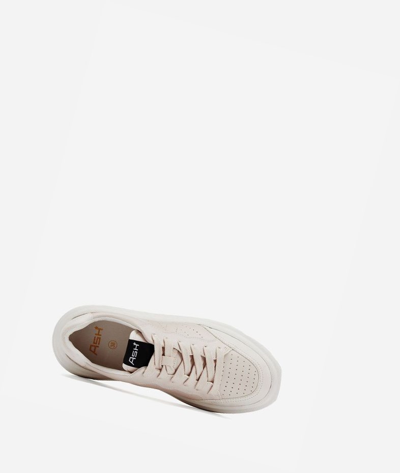 Low-Top Sneakers ASH Impuls Femme Shell | XVL-32614177