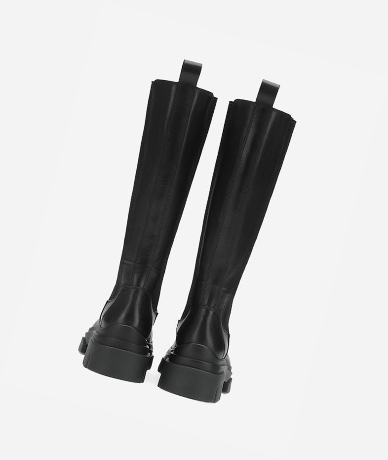 Bottes Moto ASH Stone Femme Noir | ZTB-39198957