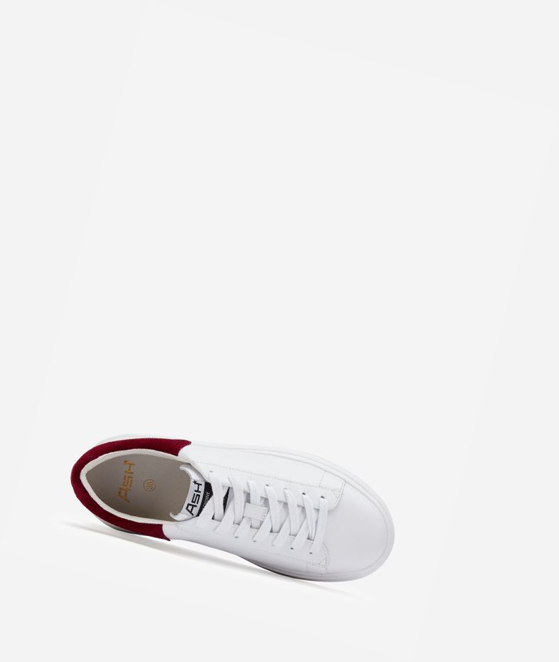 Low-Top Sneakers ASH Moby Femme Blanche Rouge | ENE-21066357