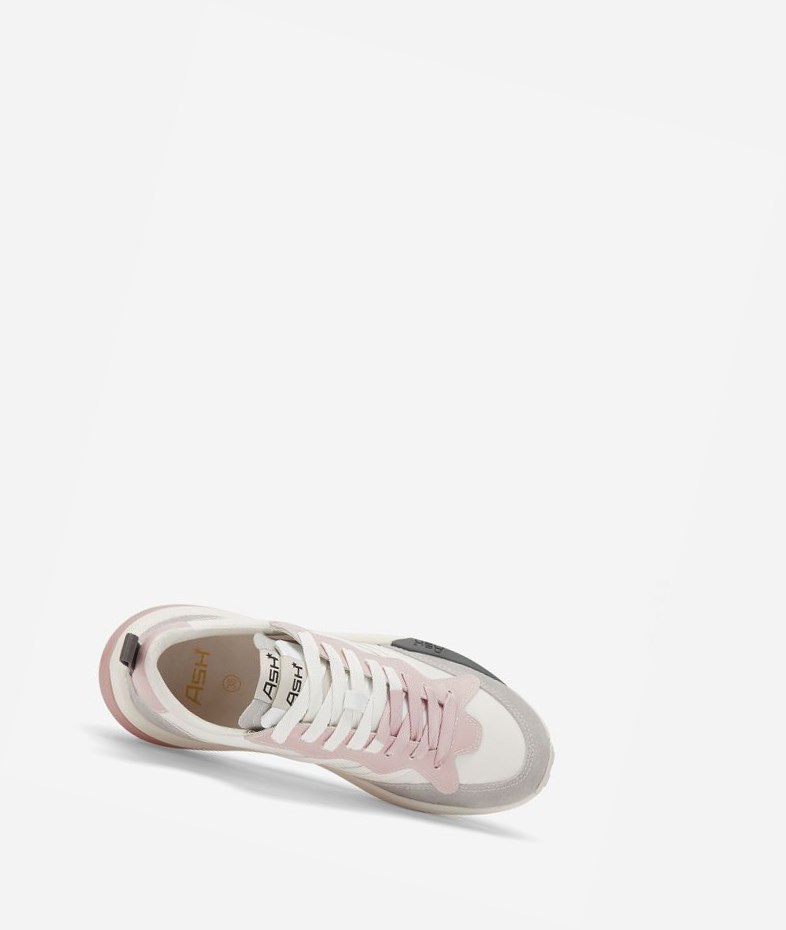 Low-Top Sneakers ASH Spider 620-01 Femme Grise Blanche | NPQ-31514793