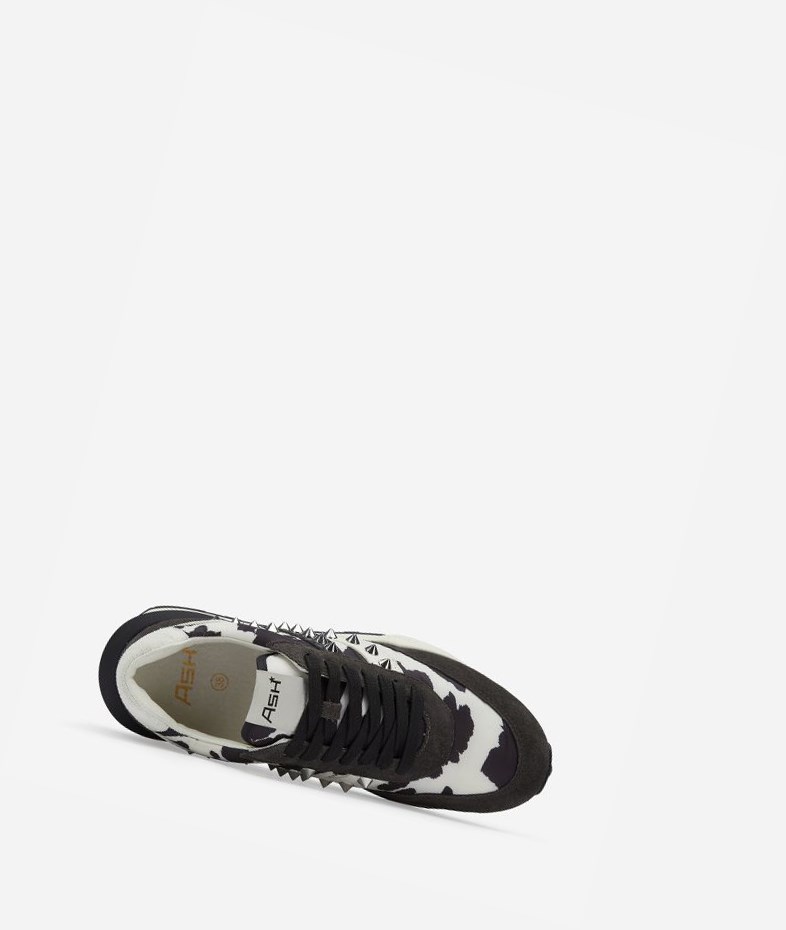 Low-Top Sneakers ASH Spider 168 Studs Femme Noir | MVY-70440069