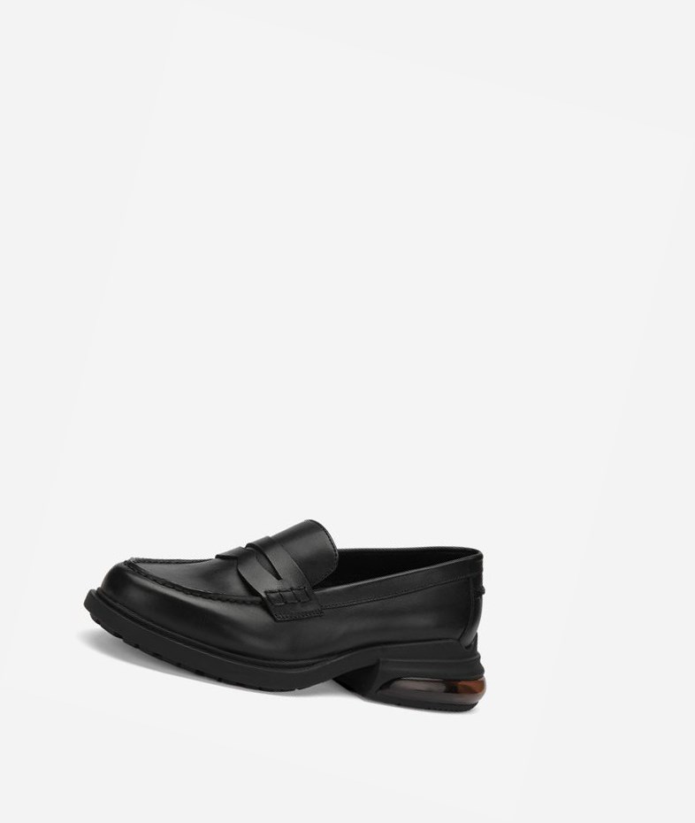 Oxfords ASH Rex Femme Noir | QNF-71141588