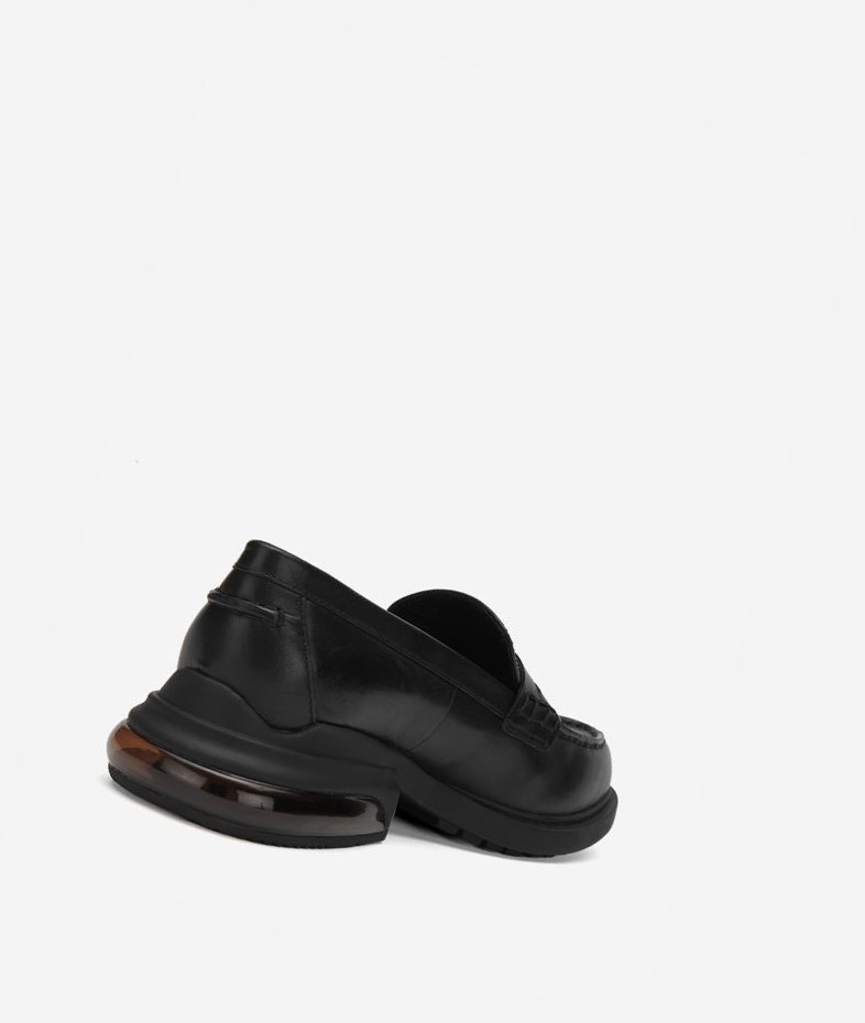 Oxfords ASH Rex Femme Noir | QNF-71141588