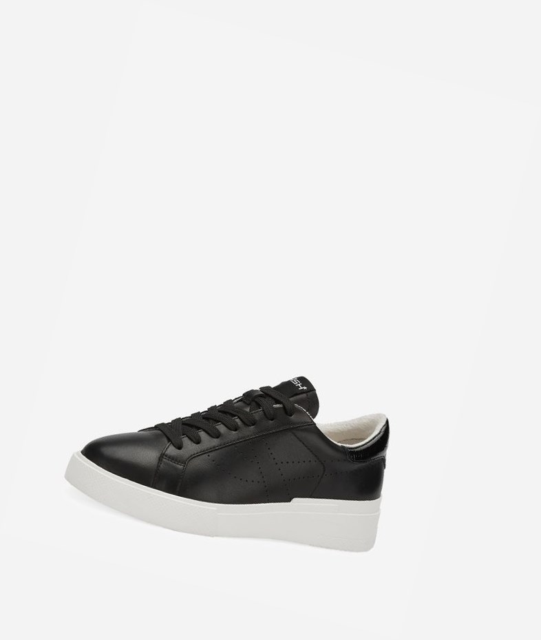 Low-Top Sneakers ASH Fury Bis Femme Noir | EPA-32360513