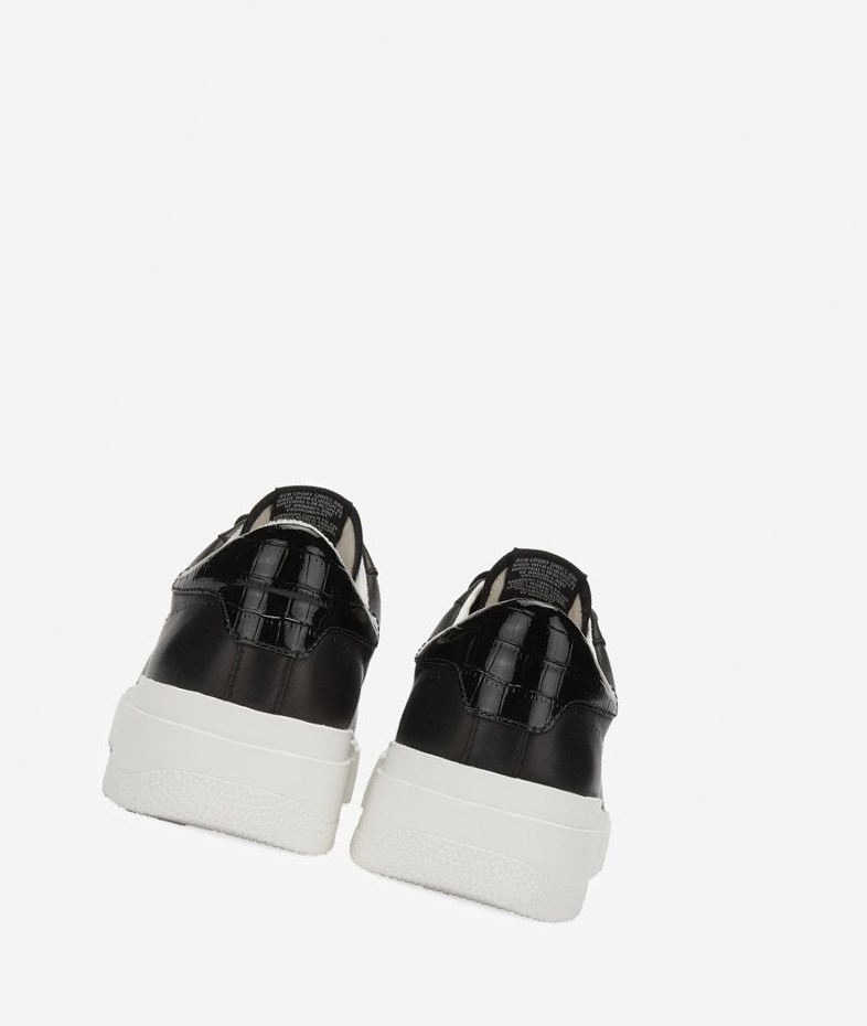 Low-Top Sneakers ASH Fury Bis Femme Noir | EPA-32360513