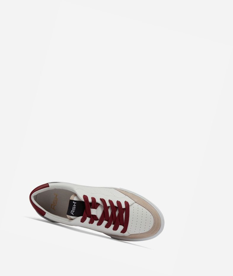 Low-Top Sneakers ASH Free Femme Noir Blanche Rouge | VSW-32709668