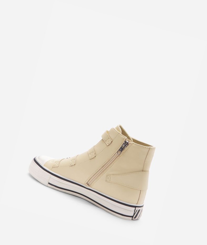 High-Top Sneakers ASH Virgin Femme Vaniglia | XUG-57452838