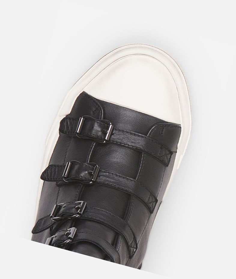 High-Top Sneakers ASH Gang Femme Noir | PKM-80597261