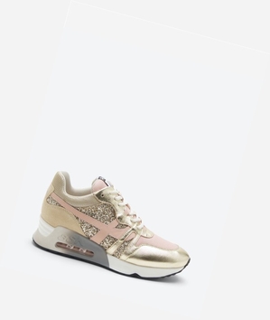 Low-Top Sneakers ASH Lux Femme Platine / Pinksalt | QTJ-68787810