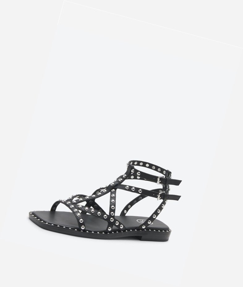 Sandales Plates ASH Mamba Femme Noir | TQZ-69496995