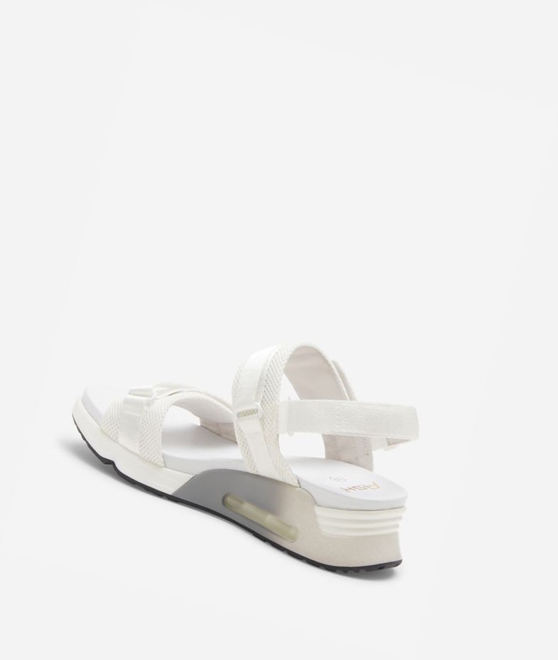 Sneaker Sandals ASH Lock Femme Blanche | UTP-63270367