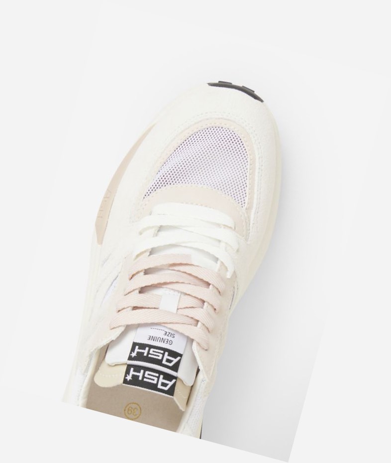 Low-Top Sneakers ASH Spider 620-02 Femme Blanche Blanche | VVK-79689055