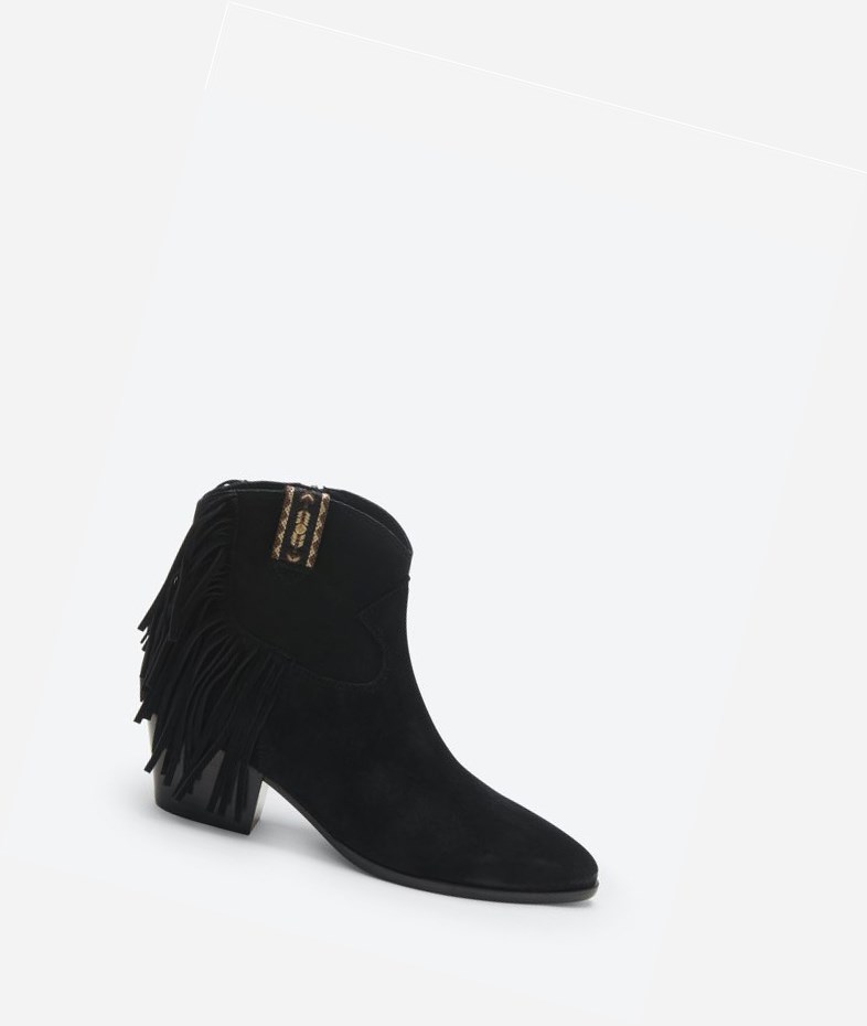 Bottines ASH Hysteria Femme Noir | FJW-27551659