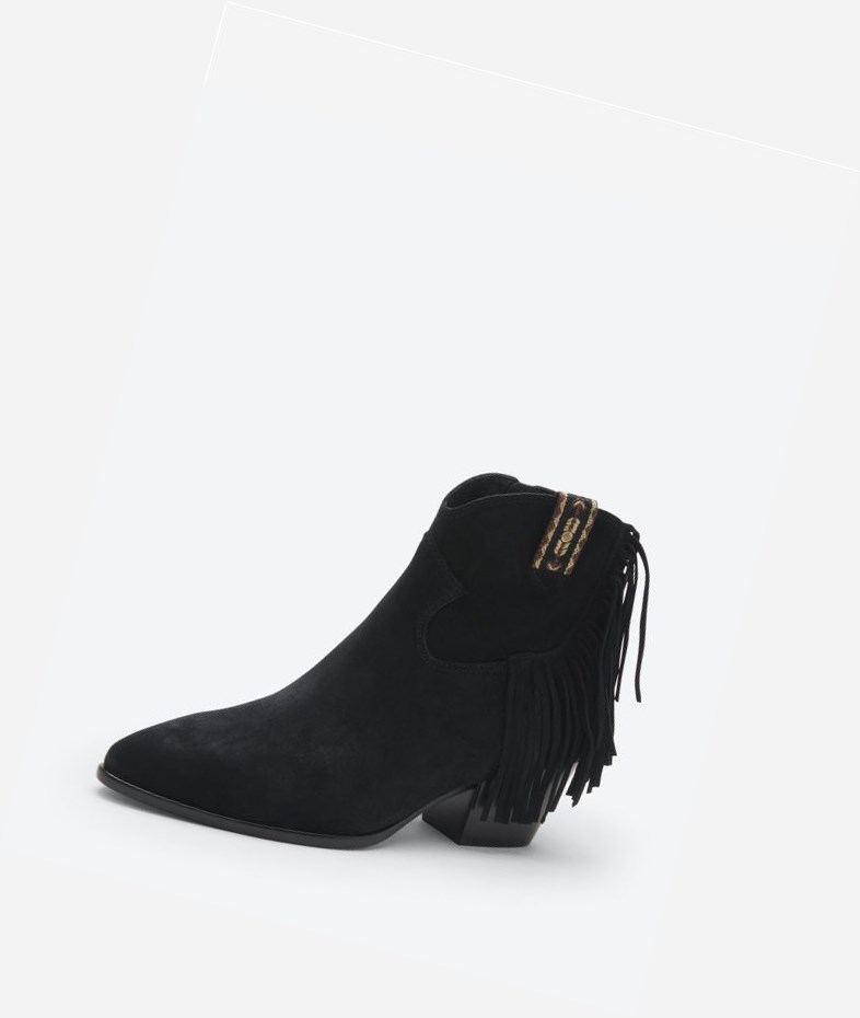 Bottines ASH Hysteria Femme Noir | FJW-27551659