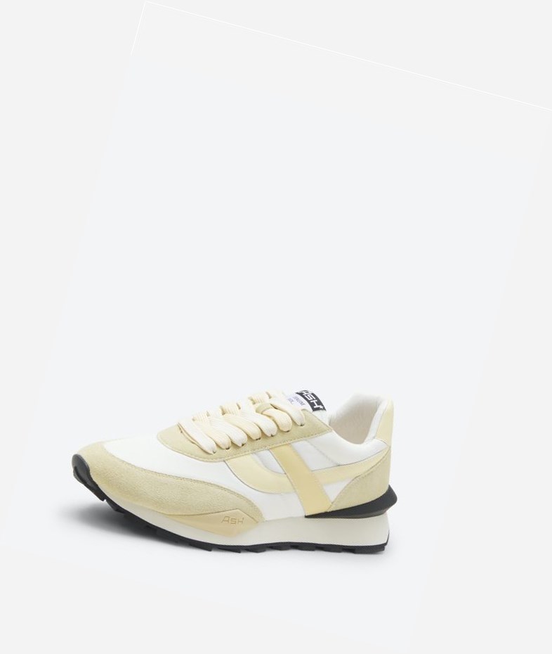 Low-Top Sneakers ASH Spider Femme Blanche | WBX-09364476