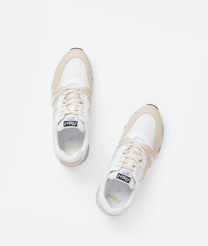 Low-Top Sneakers ASH Lux Bis Femme Blanche | CTM-23693152