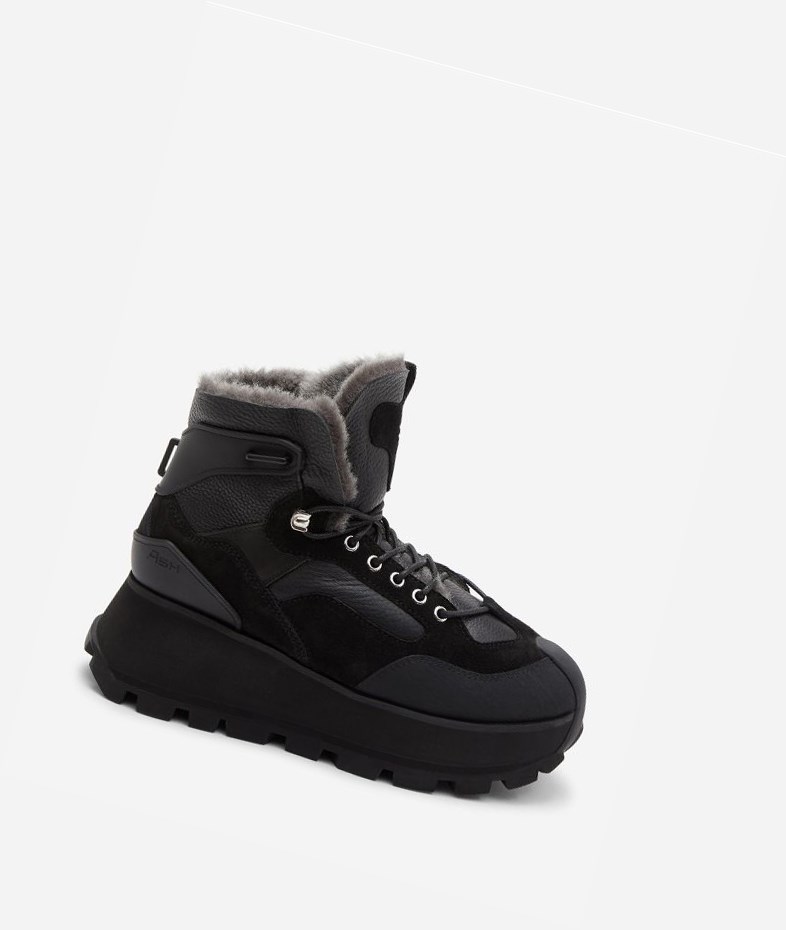 High-Top Sneakers ASH Sweet Femme Noir | AJG-03212232