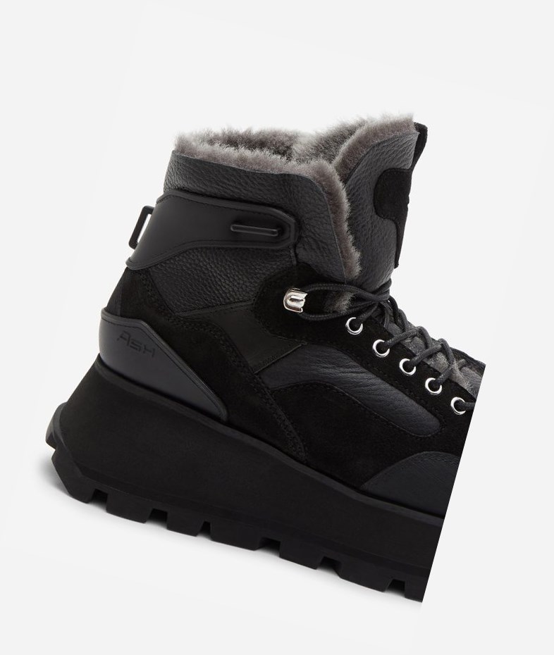 High-Top Sneakers ASH Sweet Femme Noir | AJG-03212232