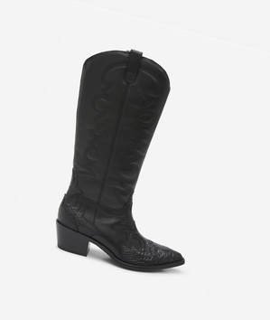 Long Boots ASH Dream Femme Noir | PDZ-33853243