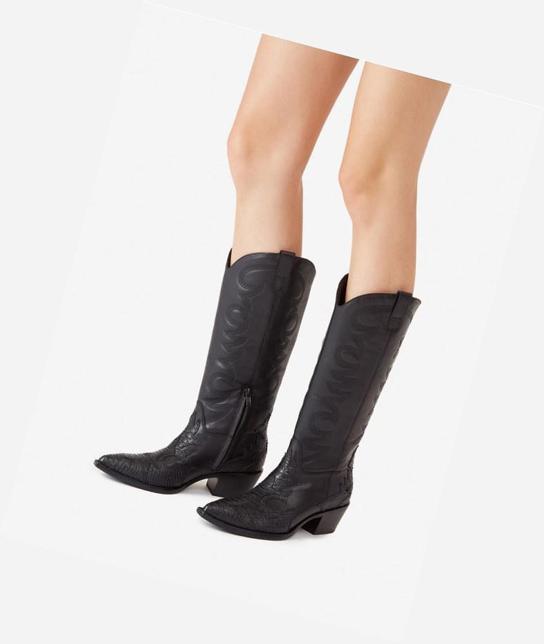 Long Boots ASH Dream Femme Noir | PDZ-33853243