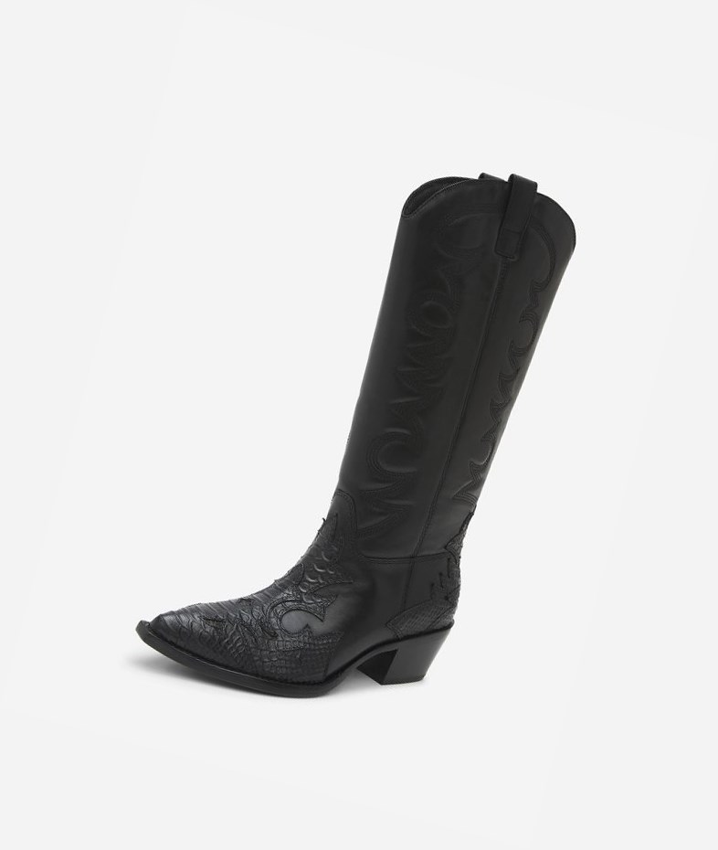 Long Boots ASH Dream Femme Noir | PDZ-33853243