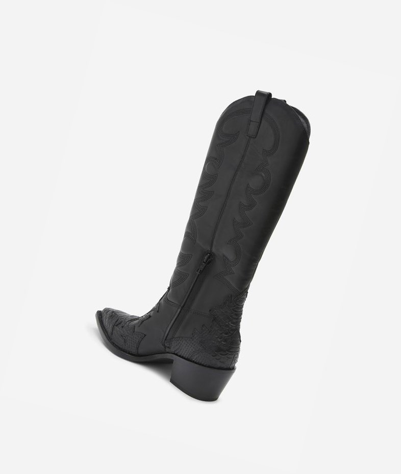 Long Boots ASH Dream Femme Noir | PDZ-33853243